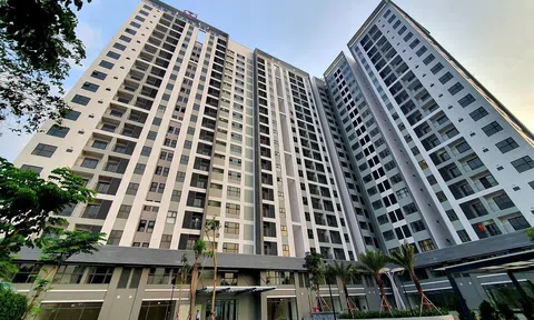 Thị trường bất động sản tiếp tục tăng trong năm 2022