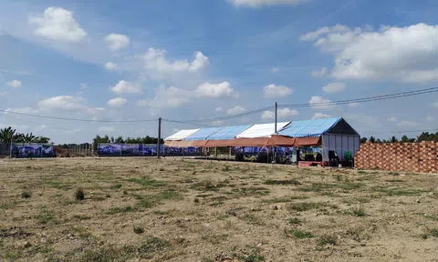 Long An: Không có KDC Phước Long trên địa bàn xã Long Trạch