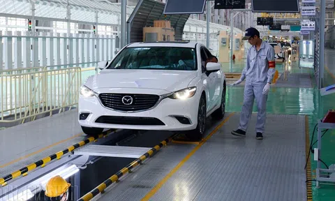 Quy định mới về kinh doanh dịch vụ kiểm định xe cơ giới từ tháng 6/2023