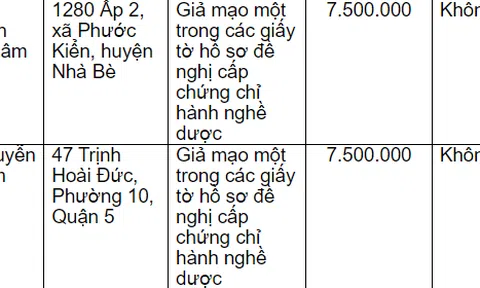 Sở Y tế TP. Hồ Chí Minh xử phạt hàng loạt cá nhân giả mạo giấy tờ cấp chứng chỉ hành nghề dược