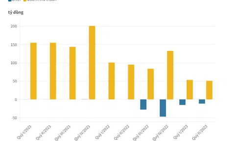 L61 bị đưa vào diện kiểm soát do lỗ lũy kế vượt quá vốn điều lệ