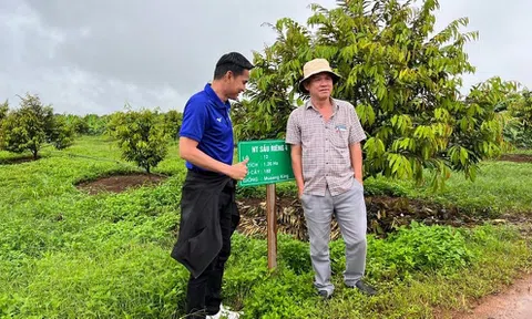 Bầu Đức muốn cơ cấu lại các khoản nợ vay cho công ty con