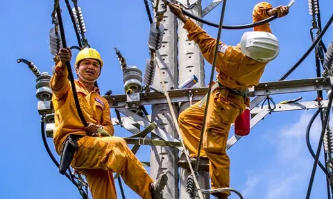 Cựu Chủ tịch HTE chi 10 tỷ đồng mua 1 triệu cố phiếu quỹ