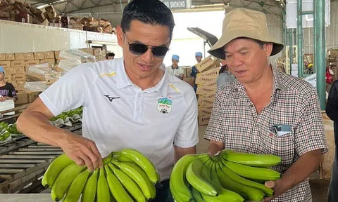 Chưa thanh toán loạt khoản vay đến hạn, HAGL vẫn khẳng định trả được nợ