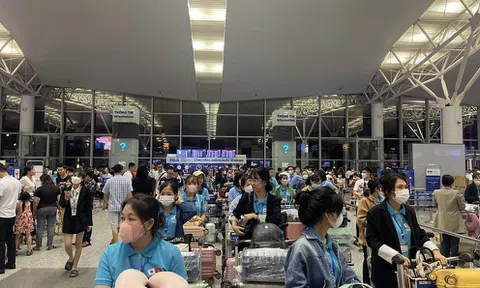 Xử phạt, thu hồi giấy phép nhiều công ty đưa lao động ra nước ngoài