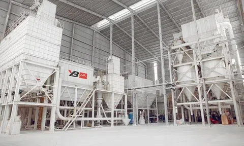 Công bố thông tin không đúng hạn, một công ty tại Yên Bái bị xử phạt