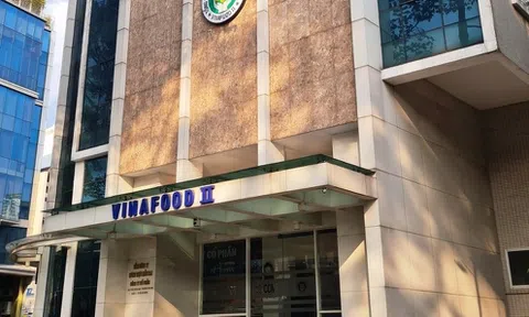 Nợ xấu dậm chân tại chỗ, Vinafood II đang vay hơn 4.000 tỷ đồng