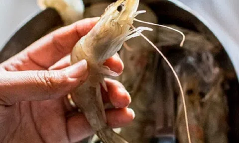 Vô tình phát hiện mắc ung thư sau khi bị râu tôm chọc vào ngón tay