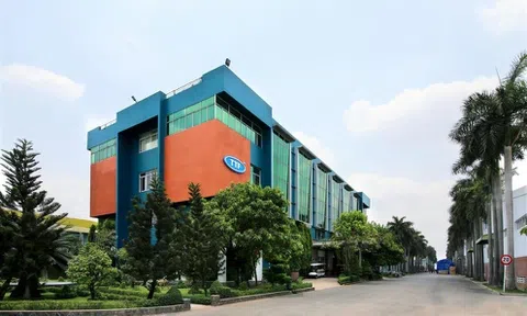 Gỗ Trường Thành lỗ lũy kế hơn 3.100 tỷ đồng, bằng 75% vốn điều lệ