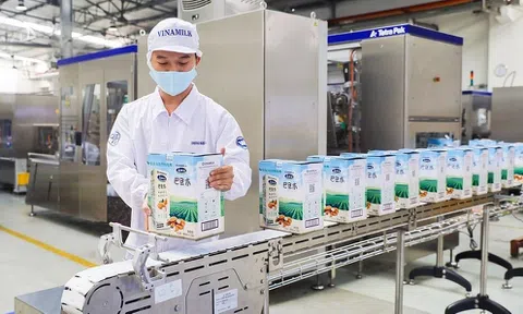 Thành viên SCIC không hoàn tất giao dịch tại Vinamilk