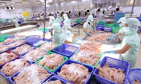 8 tháng năm 2023, xuất khẩu thủy sản thu về gần 5,8 tỷ USD