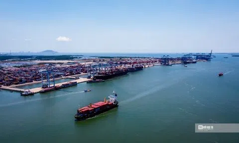 Đại lý Hàng hải Việt Nam sắp chi 35 tỷ đồng trả cổ tức