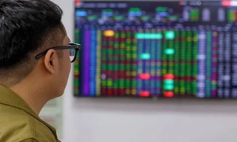 Cổ phiếu KLF vẫn bị HNX đưa vào diện duy trì cảnh báo