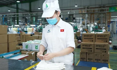 An Phát Holdings đem 29,5 triệu cổ phiếu AAA đi thế chấp