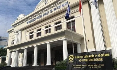 Cổ phiếu của Nhựa Đông Á, Sao Thái Dương, Vimedimex đều bị dính phạt