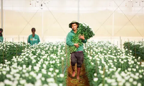 Báo lãi đi lùi, nợ phải trả của PAN Farm vượt mốc 2.600 tỷ đồng