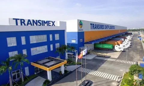 "Ông lớn" vận tải Transimex phát hành hơn 36 triệu cổ phiếu trả cổ tức
