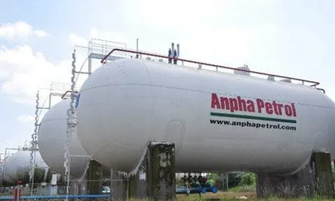 Dầu khí An Pha phân trần vi phạm CBTT do lãnh đạo là người nước ngoài