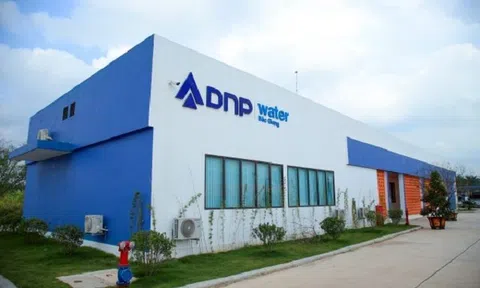 DNP Holding bị xử phạt thuế gần 12 tỷ đồng