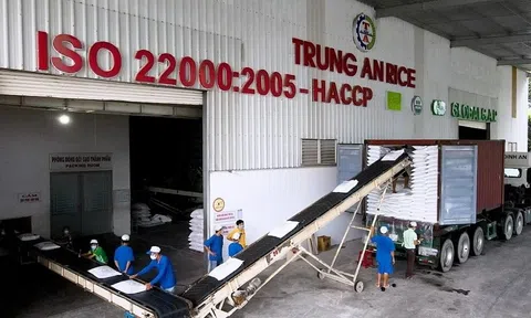 Gạo Trung An bị xử phạt, UBCKNN chỉ ra loạt sai phạm