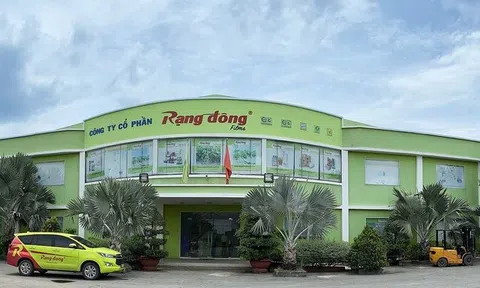 Cổ phiếu RDP lội ngược dòng tăng 23% trong 4 phiên