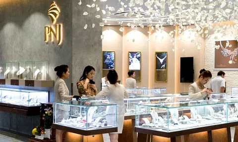 PNJ chi hơn 650 tỷ đồng trả cổ tức năm 2022