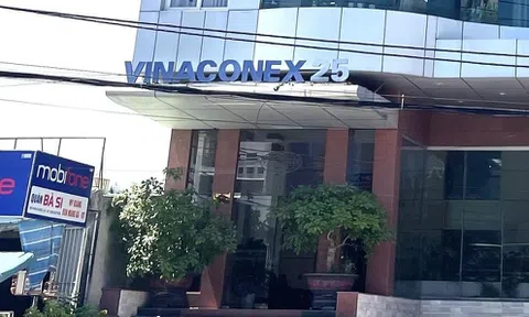 Vinaconex tăng vốn cho công ty con để trả nợ