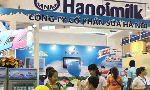 Vay cá nhân giảm mạnh, ai là chủ nợ lớn nhất của Hanoimilk?