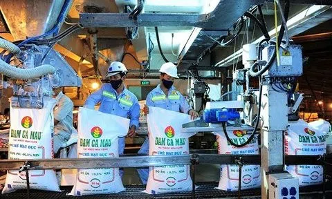 Đạm Cà Mau mang gần 10.000 tỷ đồng gửi ngân hàng