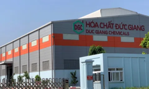 Hoá chất Đức Giang báo lãi lao dốc, nợ vay tài chính gần 1.000 tỷ đồng