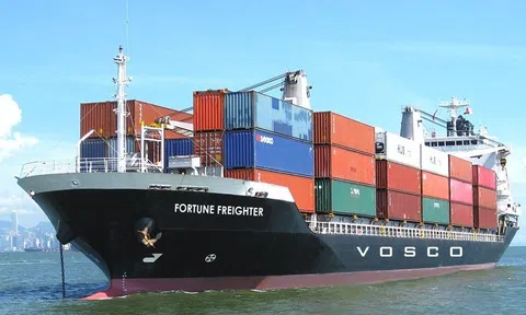 "Ông lớn" vận tải biển VOSCO báo lỗ sau hơn 2 năm