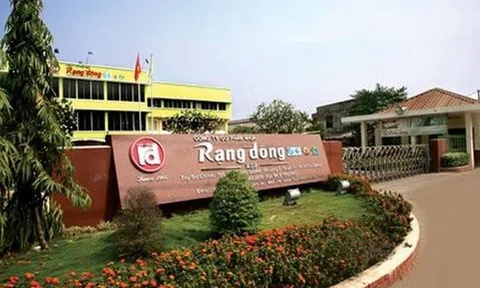 Nghịch lý doanh thu giảm, lợi nhuận tăng 17 lần tại Rạng Đông Holding