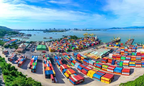 2 mảng chủ lực đều "hẻo", lợi nhuận Tổng Công ty Hàng hải đi lùi 46%