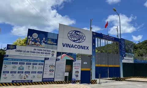 Vinaconex đón cổ đông lớn nước ngoài