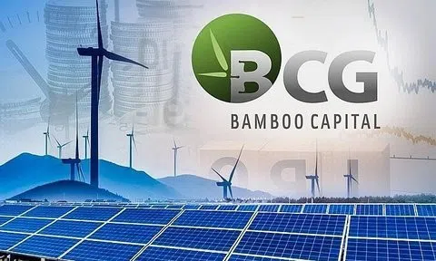 Liên tục tăng vốn nóng, đầu tư lĩnh vực hot, lợi nhuận hệ sinh thái Bamboo Capital vẫn âm sâu