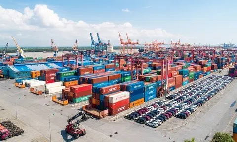 Cảng Đình Vũ sắp chi 100 tỷ đồng trả cổ tức