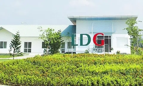 Liên tục không công bố thông tin, LDG bị UBCKNN phạt 130 triệu đồng