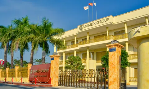 Camimex tăng sở hữu tại công ty con chuyên về thủy sản đông lạnh