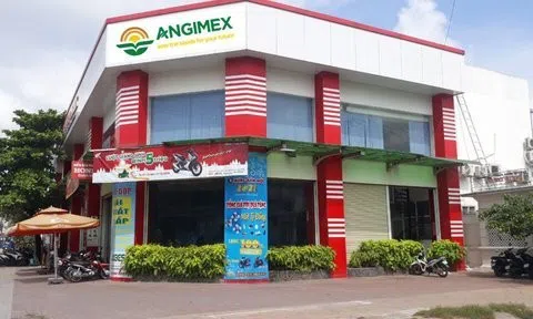 Angimex: Hoạt động kinh doanh vẫn chưa cân bằng được thu chi