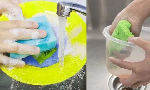 Mẹo rửa hộp nhựa dính dầu mỡ nhàn tênh, chẳng cần vất vả kỳ cọ