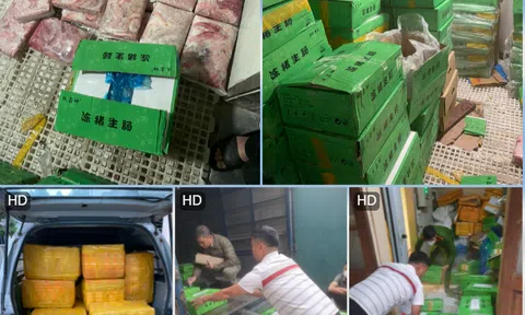 Hà Nội: Hơn 1,2 tấn tràng lợn "bốc mùi" bị bắt giữ