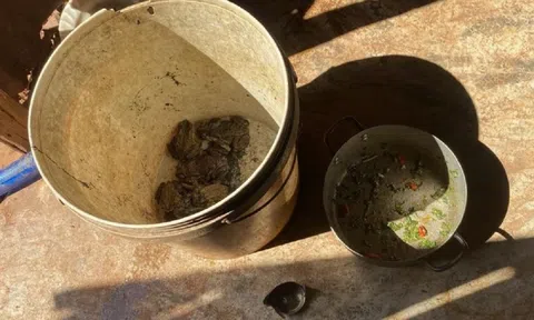 Tự làm thịt con vật quen thuộc trong vườn nhà ăn, ba trẻ thương vong