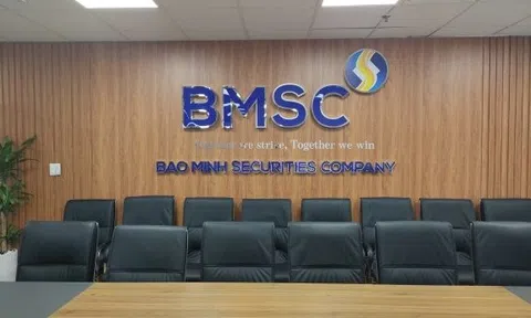 Chứng khoán Bảo Minh báo lỗ gần 45 tỷ đồng trong quý IV/2023