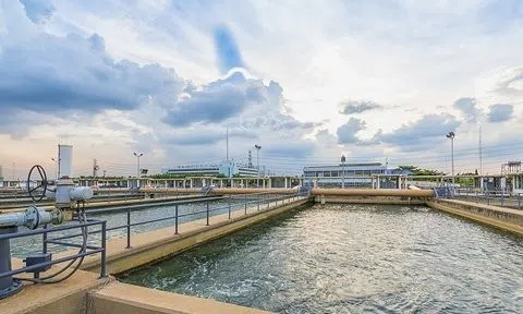 Nước Thủ Dầu Một nhận hơn trăm tỷ đồng cổ tức, báo lãi cả năm tăng 28%