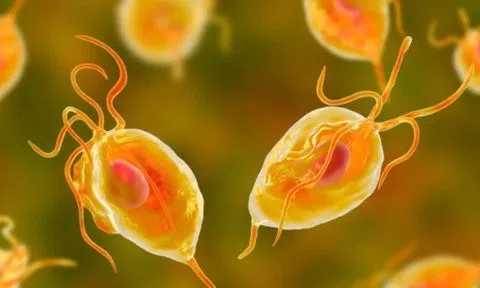 6 dấu hiệu nhiễm ký sinh trùng ở người