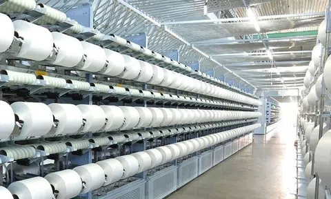 Sợi Thế Kỷ: Lợi nhuận lao dốc, tăng vay nợ "rót" vào nhà máy Unitex