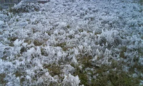 Miền Bắc chìm trong rét đậm rét hại, cảnh báo mưa tuyết xuất hiện