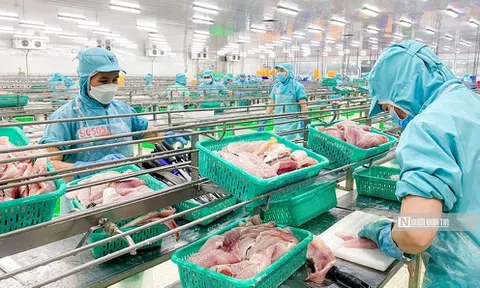 Lợi nhuận đi lùi, doanh nghiệp thủy sản đáng gánh bao nhiêu nợ?