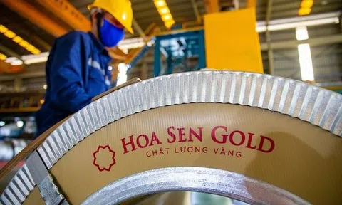 Tập đoàn Hoa Sen đặt mục tiêu lợi nhuận gấp 16 lần, đạt 500 tỷ đồng