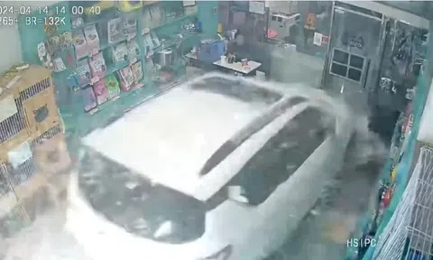 Clip: Lỡ chân ga, nữ tài xế lao thẳng xe ô tô vào cửa hàng thú cưng